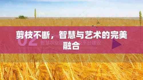 剪枝不断，智慧与艺术的完美融合