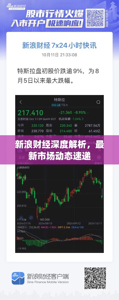 新浪财经深度解析,最新市场动态速递