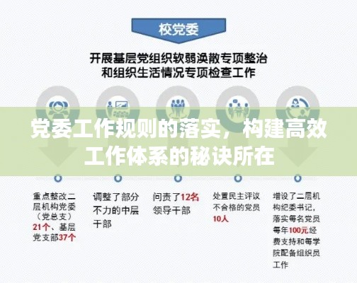 党委工作规则的落实,构建高效工作体系的秘诀所在