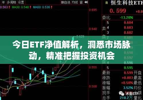 今日ETF净值解析,洞悉市场脉动,精准把握投资机会